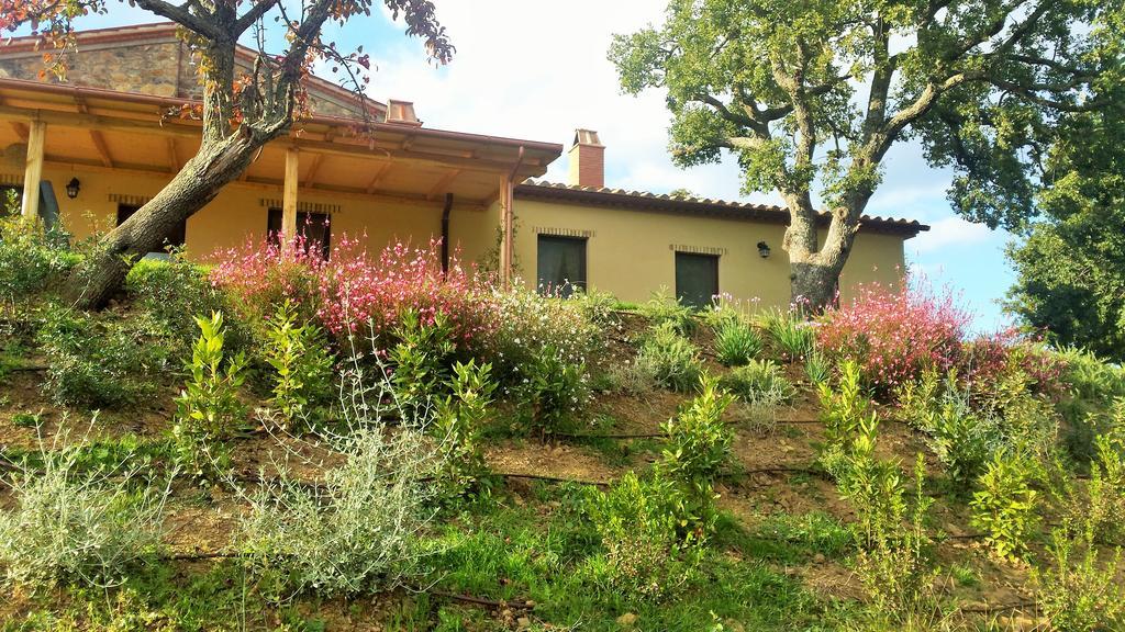 Semproniano Agriturismo Sugheretello מראה חיצוני תמונה