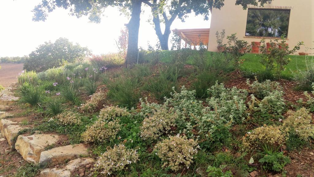 Semproniano Agriturismo Sugheretello מראה חיצוני תמונה