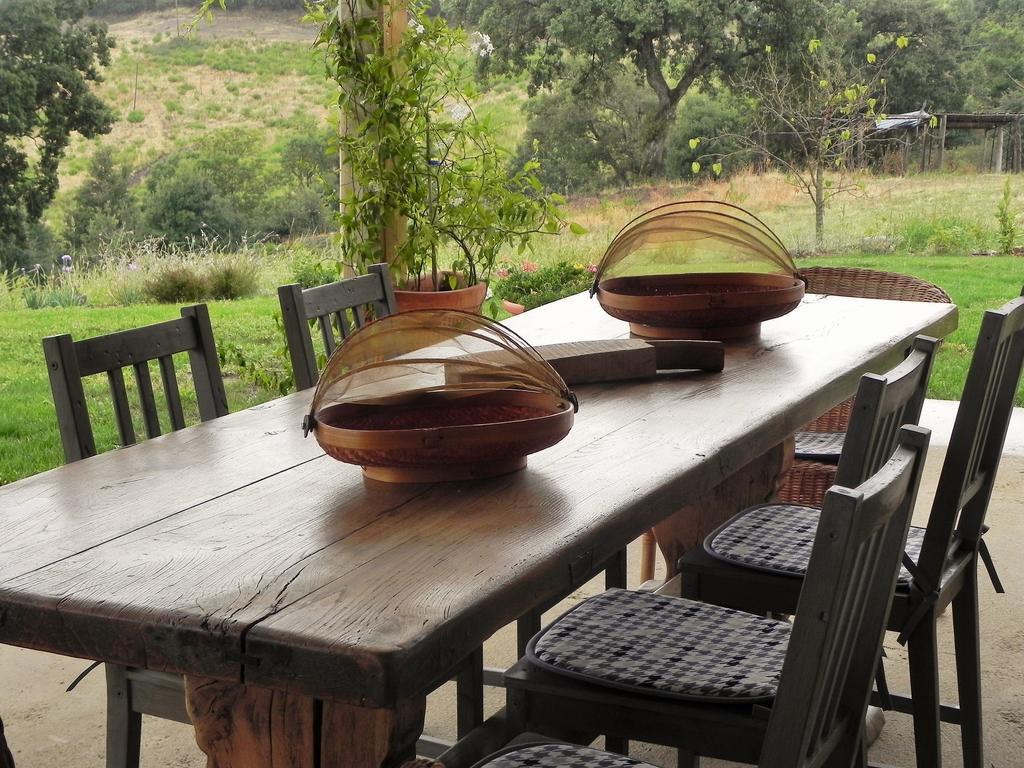 Semproniano Agriturismo Sugheretello מראה חיצוני תמונה