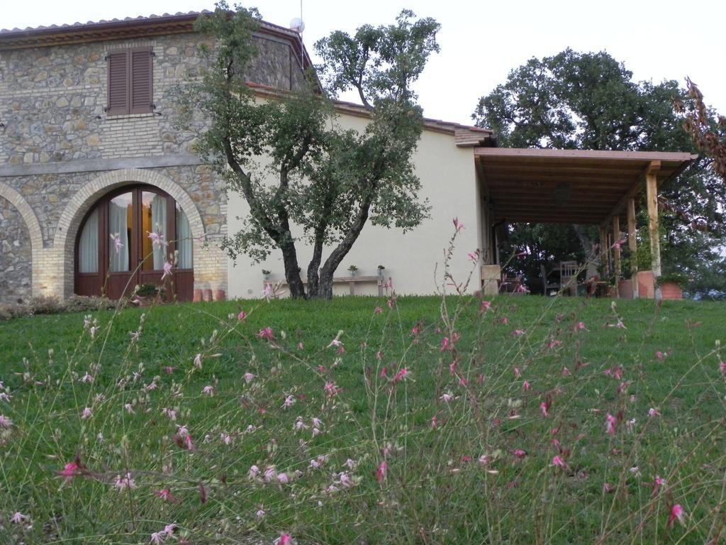 Semproniano Agriturismo Sugheretello מראה חיצוני תמונה