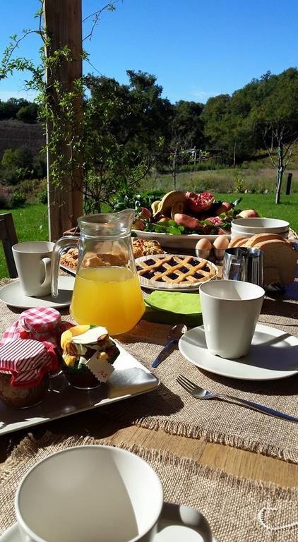 Semproniano Agriturismo Sugheretello מראה חיצוני תמונה