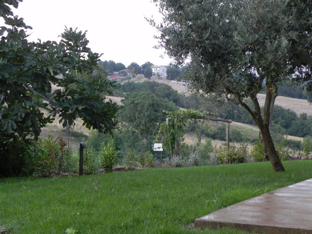 Semproniano Agriturismo Sugheretello מראה חיצוני תמונה