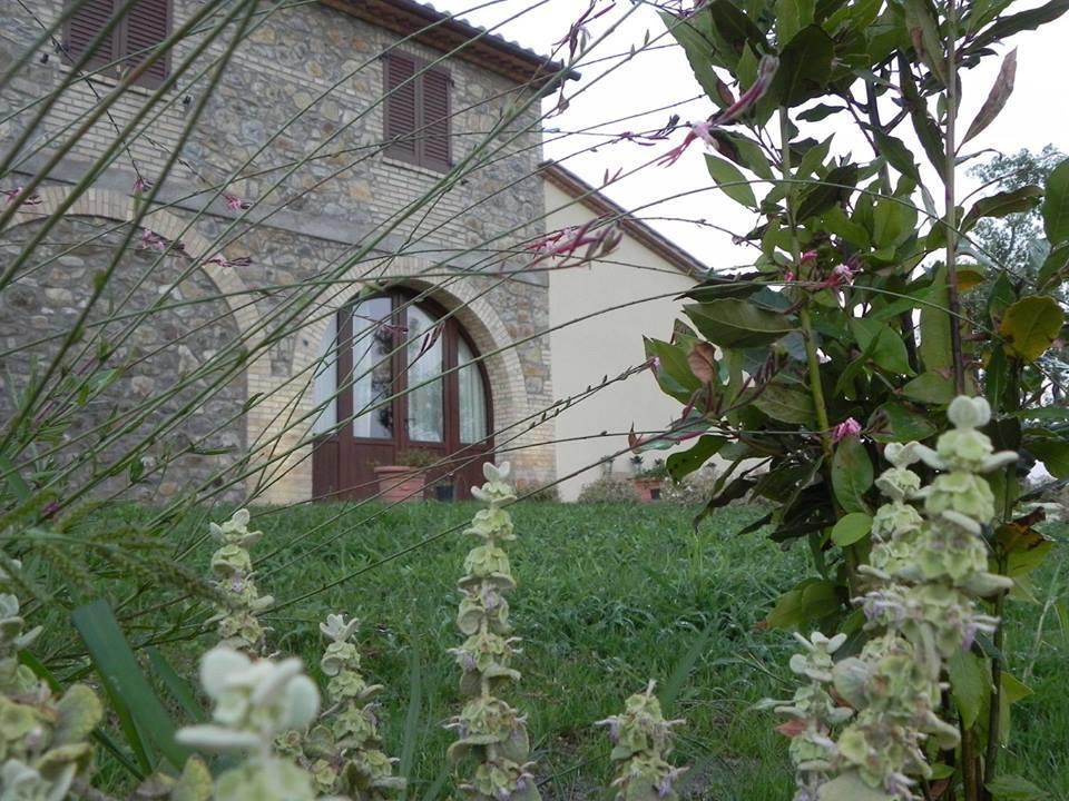 Semproniano Agriturismo Sugheretello מראה חיצוני תמונה