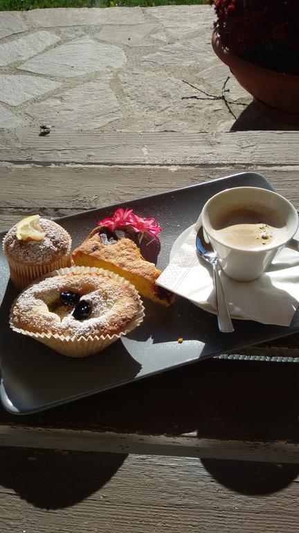 Semproniano Agriturismo Sugheretello מראה חיצוני תמונה