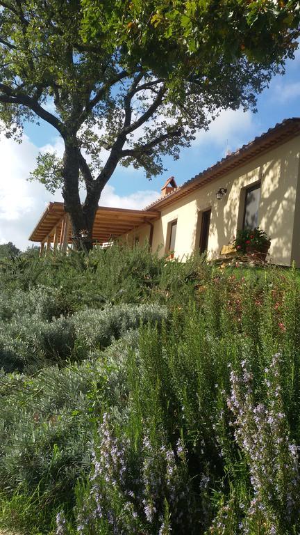 Semproniano Agriturismo Sugheretello מראה חיצוני תמונה